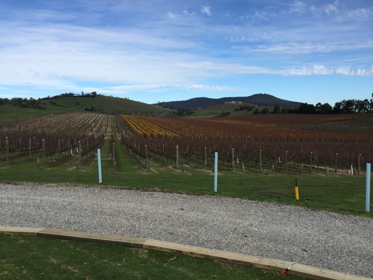 Wine Tasting in Yarra Valley • MarkMyJourney